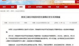 八村最新爆料消息新闻,揭秘幕后真相，独家新闻解读！”