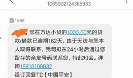 平安欠款爆料案例最新消息,最新进展及各方回应盘点