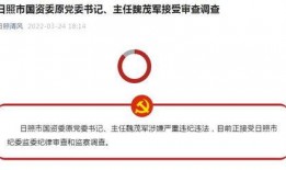 日照新闻爆料热线,倾听民声，守护城市脉搏