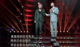张宇爆料视频,娱乐圈幕后真相大曝光