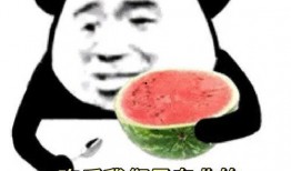娱乐吃瓜酱东北老铁,东北老铁的娱乐吃瓜日常