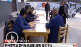 八村最新爆料消息新闻,揭秘幕后真相，独家新闻解读！”