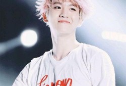 韩娱爆料边伯贤视频合集,星光璀璨的舞台瞬间，独家视频合集回顾