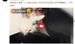 爆料衡水出轨视频曝光事件,网络曝光引发社会热议
