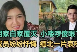 真人爆料小故事大全集视频,小故事大全集视频精彩瞬间回顾