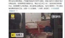 中餐厅被爆料视频,揭秘幕后真相与争议瞬间