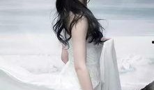 b站爆料刘亦菲的视频,精彩瞬间引网友热议