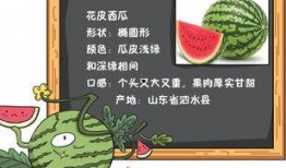 吃瓜观火小说免费阅读