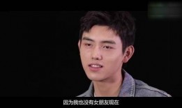 陈飞宇爆料魏晨视频在线观看,真相究竟如何？