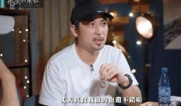 娱乐圈吃瓜汪小菲,娱乐圈吃瓜达人，揭秘明星幕后故事