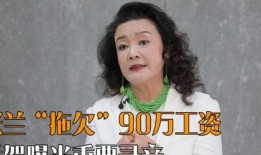 汪小菲爆料张兰大笑视频,引发网友热议