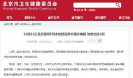 寒假有什么新闻爆料的,盘点假期里的热点事件与幕后真相