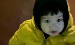 秃崽吃瓜视频链接下载免费,揭秘热门视频背后的趣味与真相