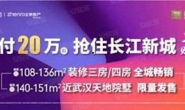武汉热点爆料事件视频,揭秘XX真相，引发全网热议