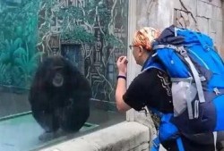 猴哥亲戚爆料视频大全