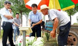 禹城吃瓜最新事件爆料新闻,揭秘背后惊人真相