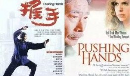 电影推手在线观看,揭秘影视幕后推手的传奇人生