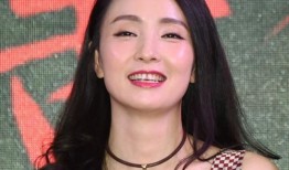 娱乐圈爆料陶虹,揭秘明星背后的故事