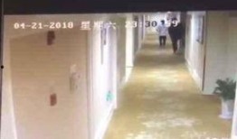 酒店最新爆料视频播放,最新爆料视频带你探秘酒店真实面貌
