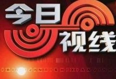 今日视线爆料平台官网,揭秘官网最新动态与独家爆料