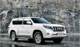 最新普拉多爆料新闻