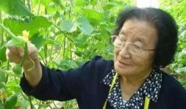 娱乐吃瓜酱甘肃人,探寻娱乐吃瓜酱的独特魅力