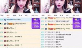 爆料河北事件主播视频,真相与争议交织
