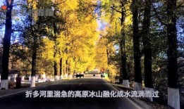 娱乐吃瓜君太阳,揭秘娱乐圈的璀璨明星