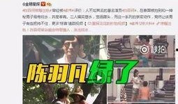 伍先生老婆爆料视频,揭秘夫妻关系背后的真相