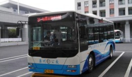 3路公交车爆料视频下载,爆料视频背后的真实故事