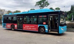 3路公交车爆料视频下载,爆料视频背后的真实故事