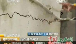 瑞昌新闻爆料事件视频,视频揭露惊人真相