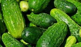 黄瓜农药爆料图片高清视频,高清视频曝光农药滥用现状