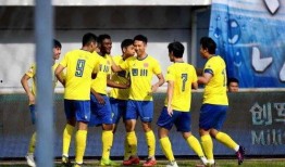 fc足球最新爆料,揭秘新赛季足球联赛风云变幻