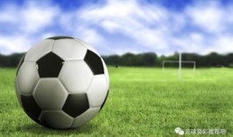 波兰足球爆料视频最新下载,揭秘赛场幕后精彩瞬间