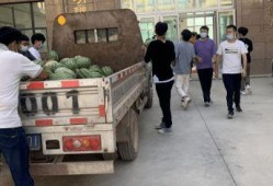 禹城吃瓜最新事件爆料新闻,揭秘背后惊人真相