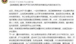 爆料河北事件主播视频,真相与争议交织