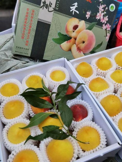 娱乐吃瓜封面怎么做,揭秘明星幕后故事，带你走进娱乐圈风云变幻